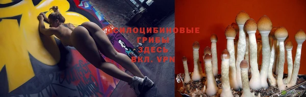 синтетический гашиш Баксан