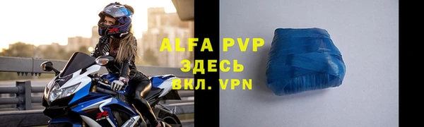 индика Сатка