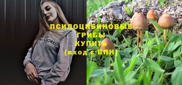 индика Сатка