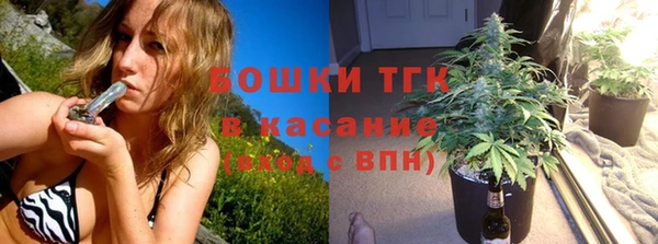 СК Сафоново
