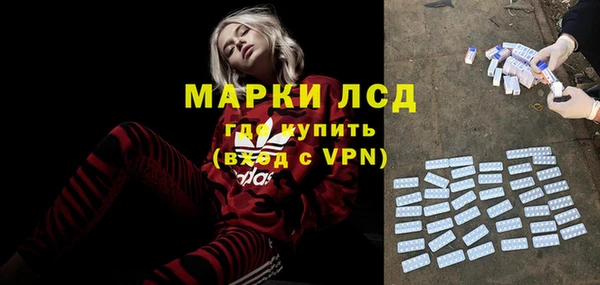 СК Сафоново