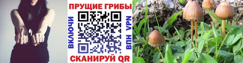 Псилоцибиновые грибы ЛСД  Саянск 